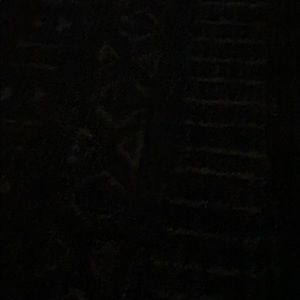 Meet your Posher, Bryce